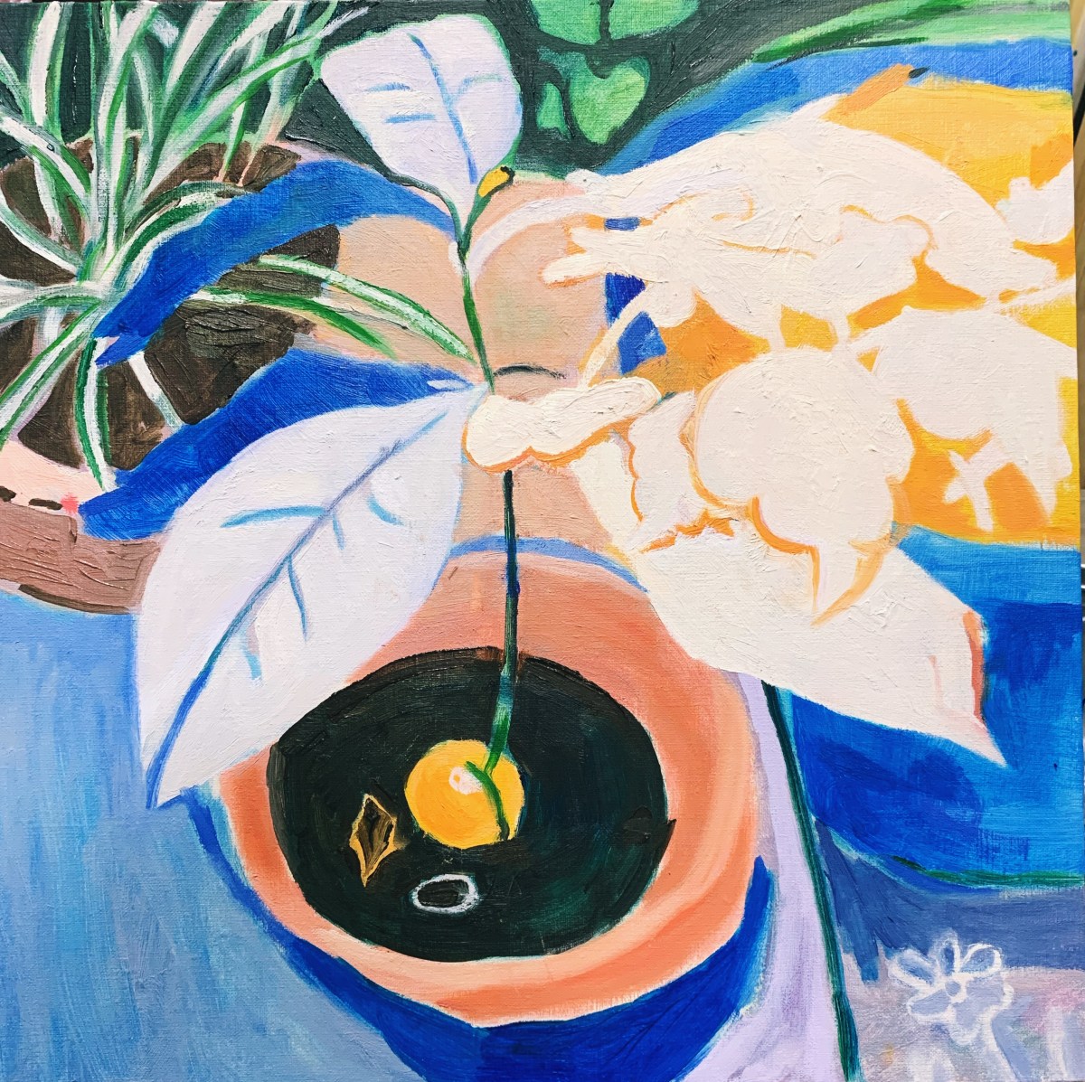 木陰のラケット